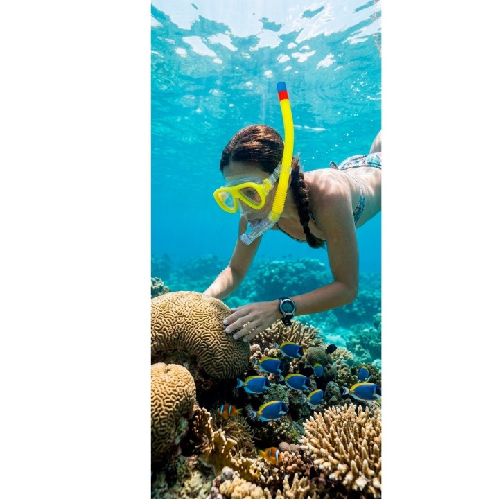 Careta Snorkel Kit Buceo Resistente Ajustable Swim Goggles