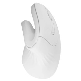 Mouse Ergonómico Vertical Inalámbrico Rf-7051 Pro Salud
