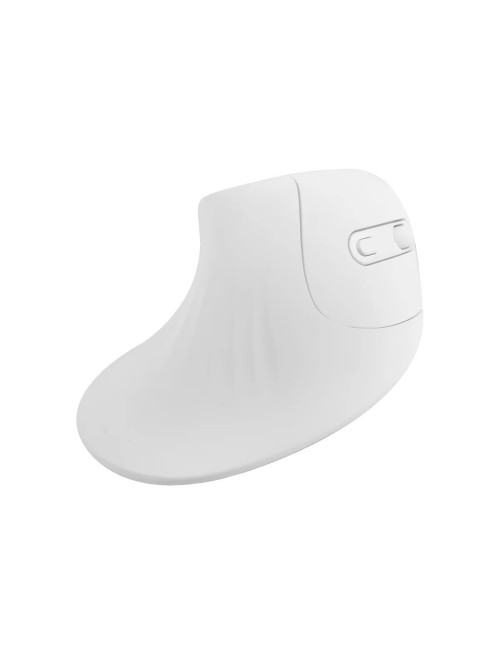 Mouse Ergonómico Vertical Inalámbrico Rf-7051 Pro Salud
