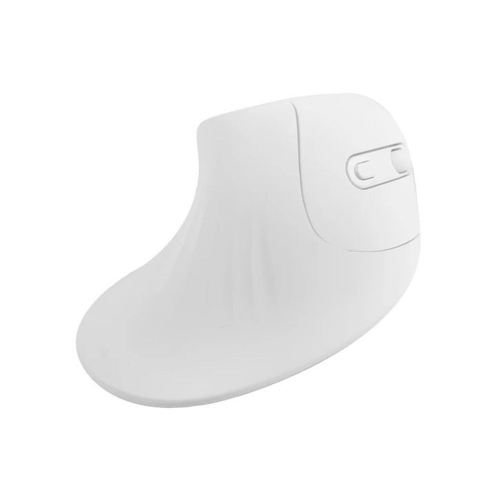 Mouse Ergonómico Vertical Inalámbrico Rf-7051 Pro Salud