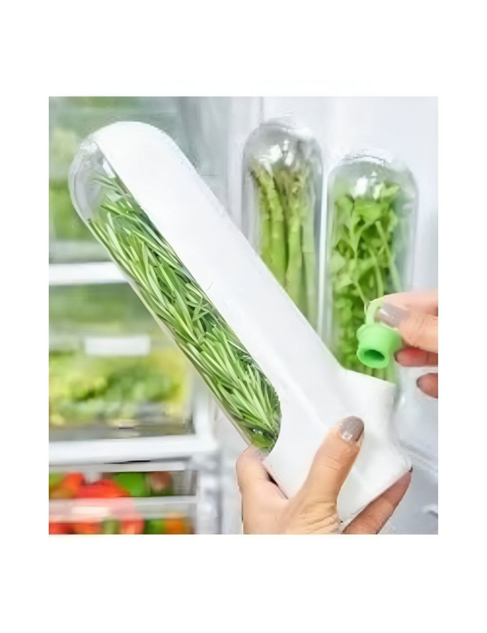Conservador De Hierbas Cilantro Perejil Verduras Frescas