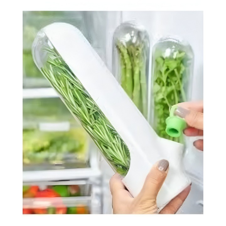 Conservador De Hierbas Cilantro Perejil Verduras Frescas