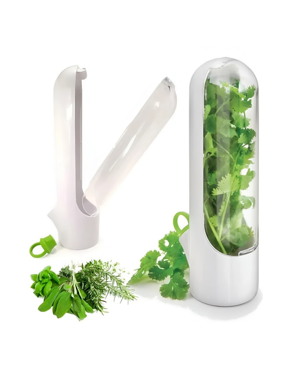 Conservador De Hierbas Cilantro Perejil Verduras Frescas