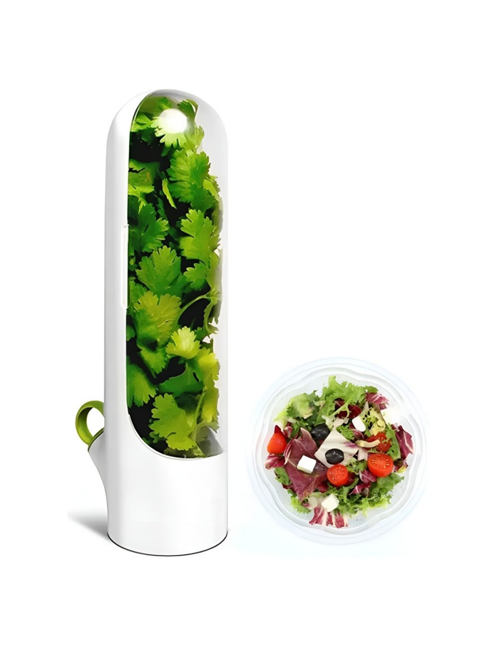 Conservador De Hierbas Cilantro Perejil Verduras Frescas
