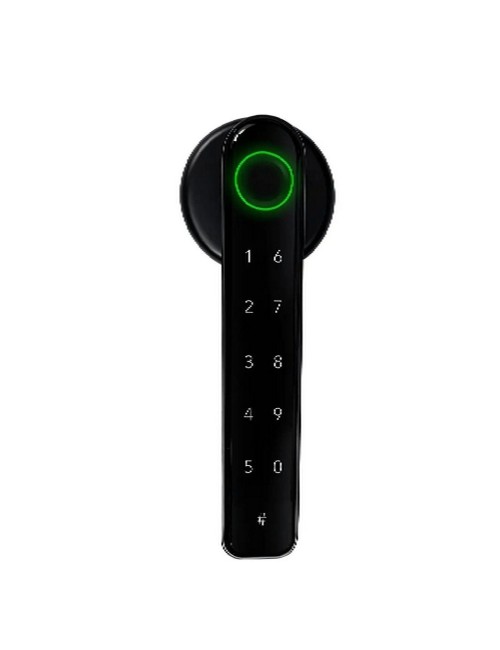 Cerradura Inteligente Safe Wifi Bio-métrica Y Teclado Táctil