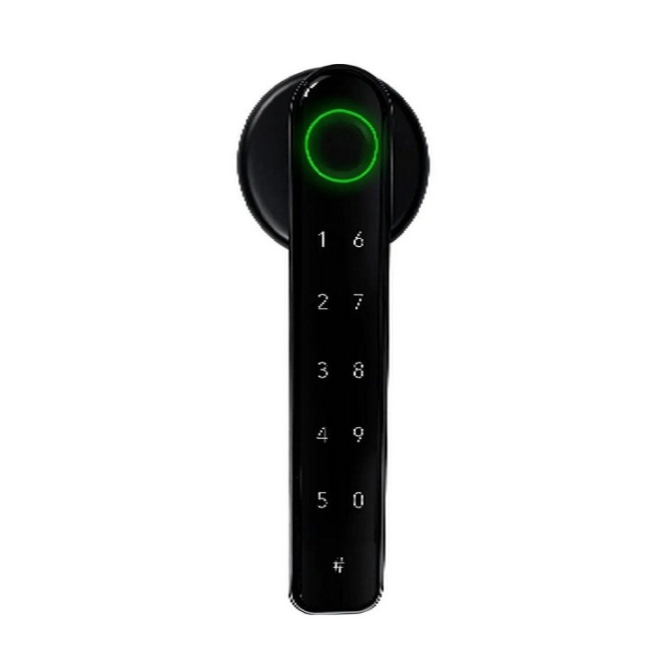 Cerradura Inteligente Safe Wifi Bio-métrica Y Teclado Táctil