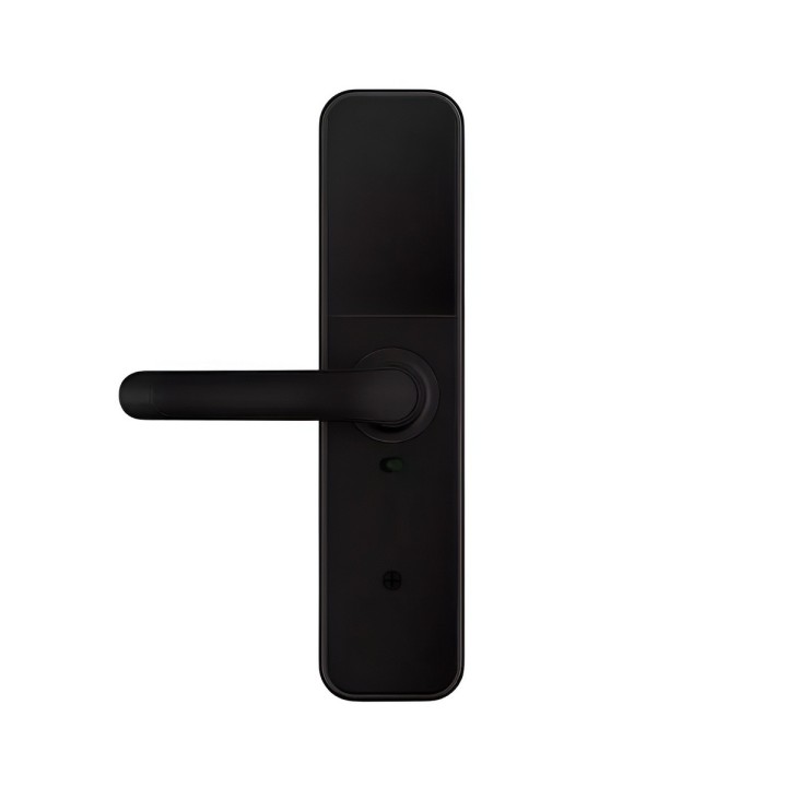 Cerradura Inteligente Wifi Biométrica Tuya Smart Pro F1