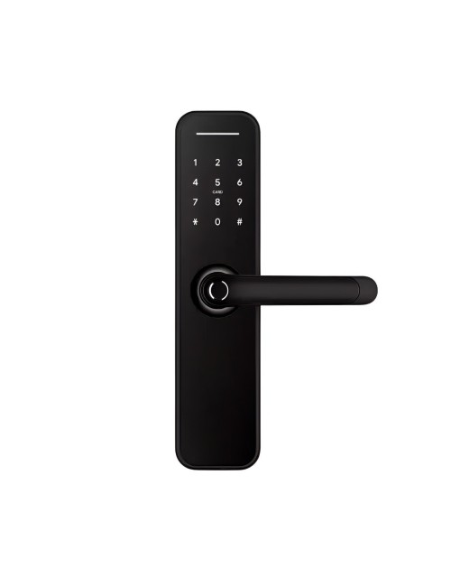 Cerradura Inteligente Wifi Biométrica Tuya Smart Pro F1