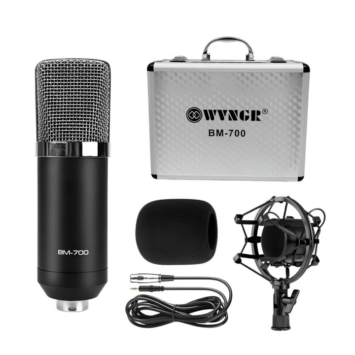 Microfono De Condensador Profesional Bm-700 Kit Podcast
