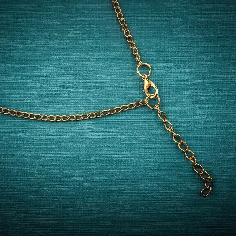Collar Venado