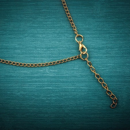 Collar Venado