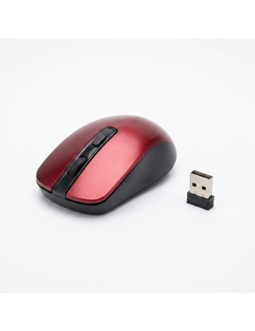 Mouse Inalámbrico 2.4ghz Óptico 1600 Dpi Ergonómico Rf-6923