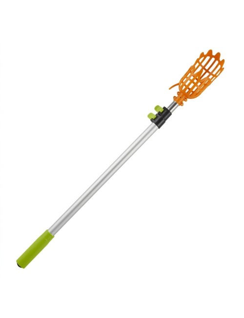 Recolector De Frutas Con Mango Telescópico Extensible 2 M