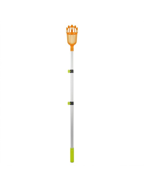 Recolector De Frutas Con Mango Telescópico Extensible 2 M