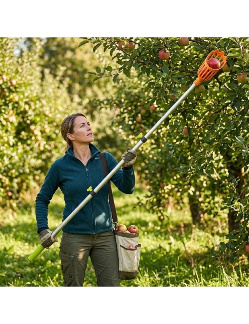 Recolector De Frutas Con Mango Telescópico Extensible 2 M