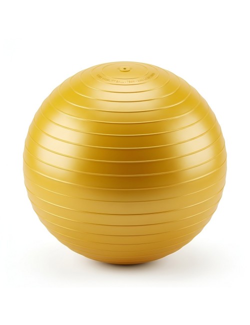 Pelota De Ejercicio Yoga Pilates 75cm Con Inflador