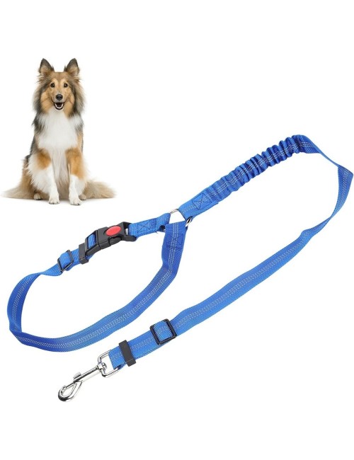 Cinturón Seguridad Perro Auto Elástico Ajustable