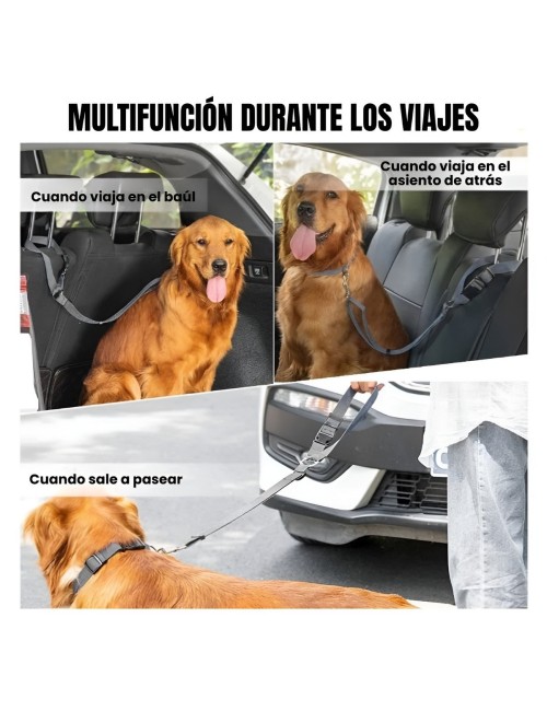 Cinturón Seguridad Perro Auto Elástico Ajustable