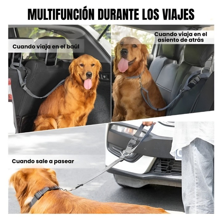 Cinturón Seguridad Perro Auto Elástico Ajustable
