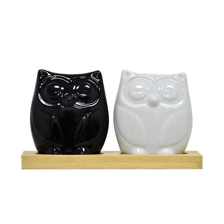 Set Salero Y Pimentero Cerámica Forma De Búhos Base Madera
