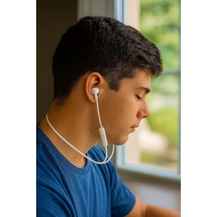 Audífonos Bluetooth Deportivos Kl-21 Con Estuche 20h